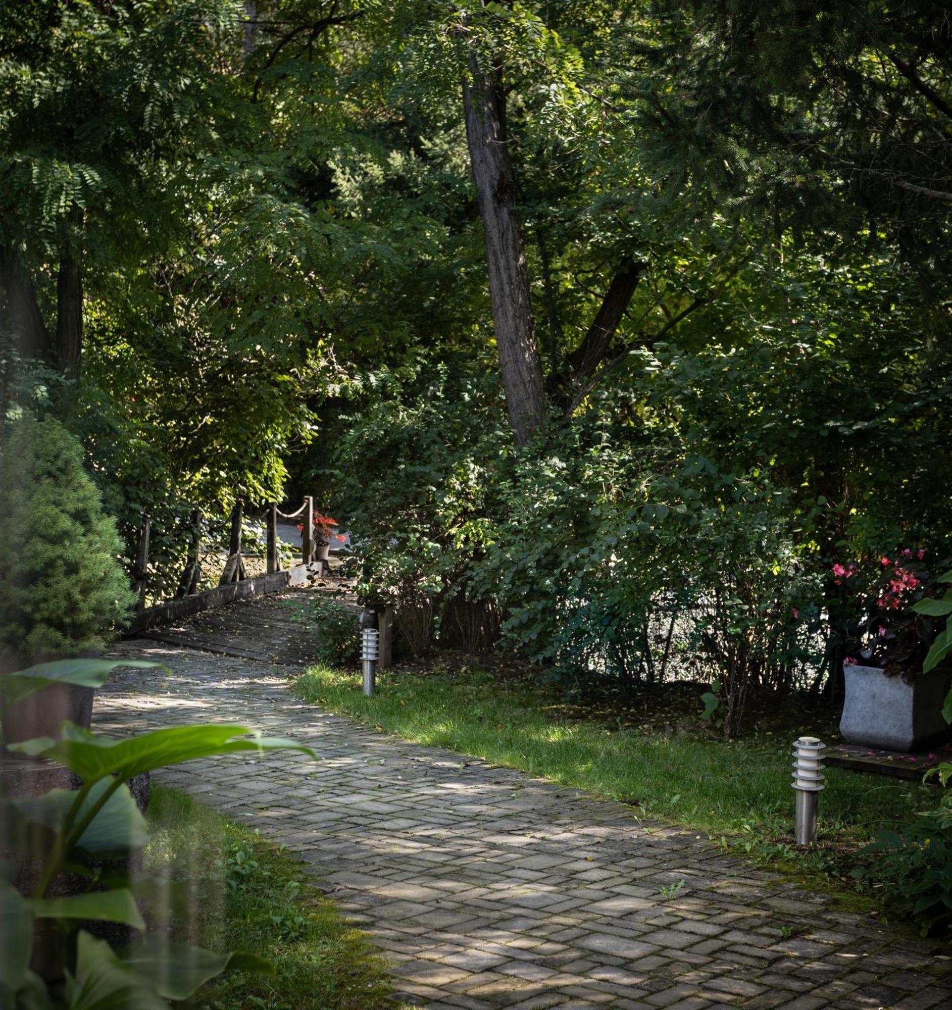 Villa Viridis Buekkalja Borsodgeszt Exterior photo